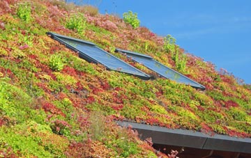 Llannerch Y Mor living roof systems